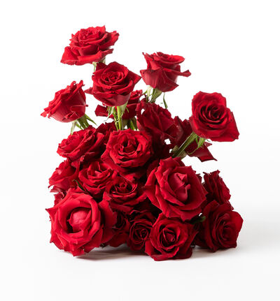 Borddekorasjon med rød roser stor Borddekorasjon med rød roser stor